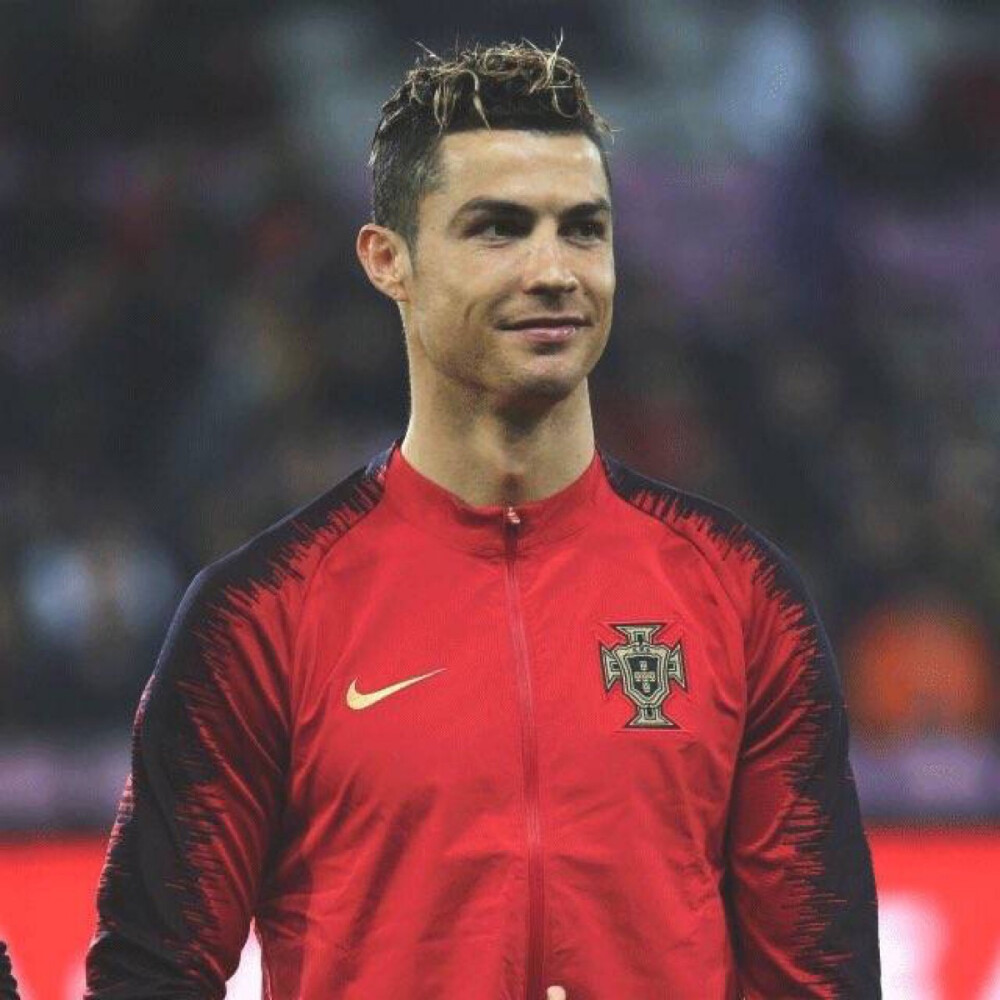 意大利杯作 意大利杯作